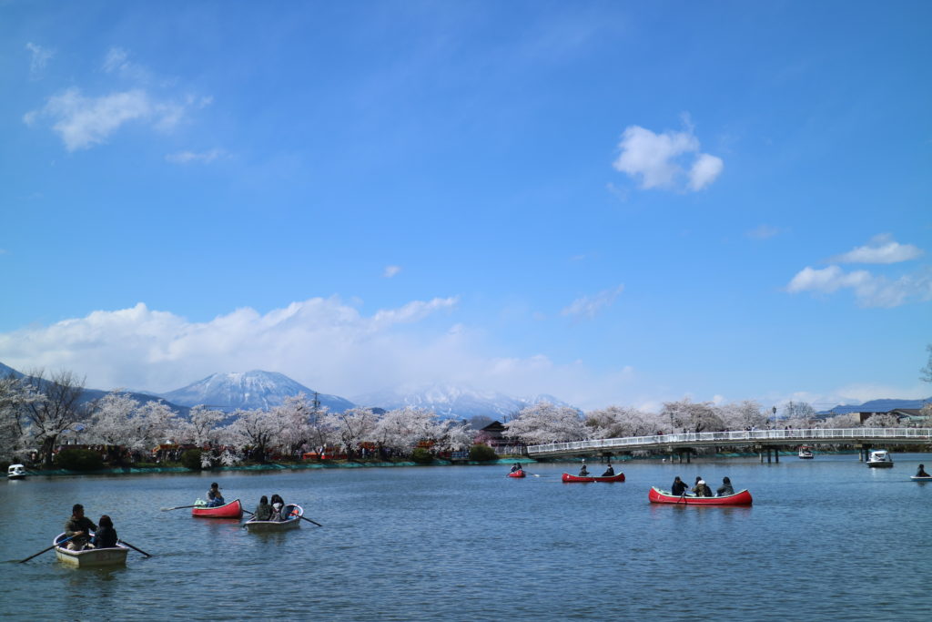 須坂臥竜公園の桜