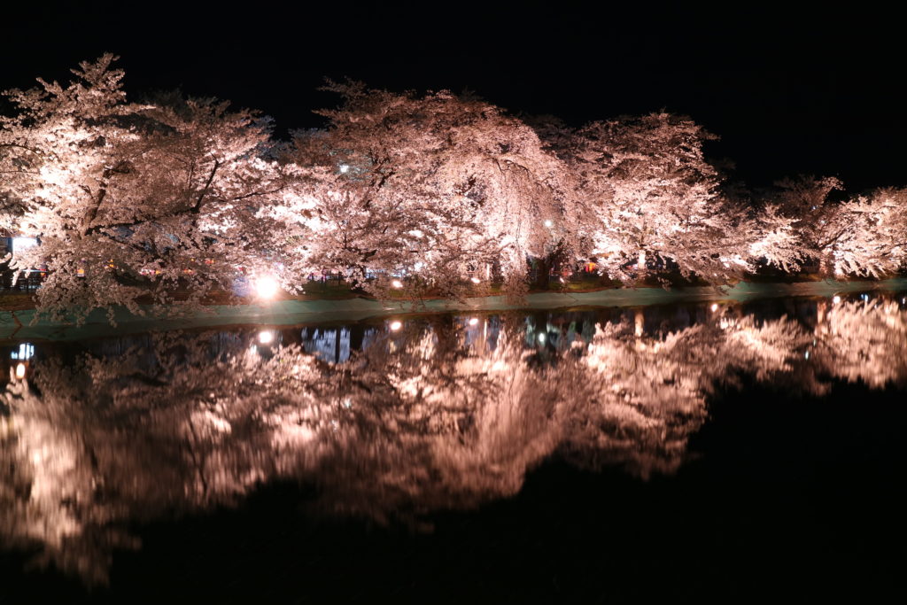 須坂臥竜公園の桜ライトアップ